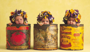 铭缘阁起名测名网