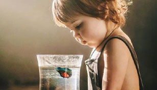 铭缘阁起名测名网