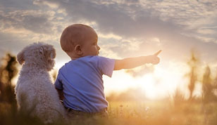 铭缘阁起名测名网