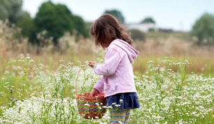 铭缘阁起名测名网