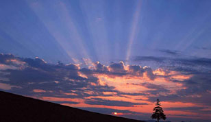 铭缘阁起名测名网