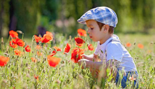 铭缘阁起名测名网