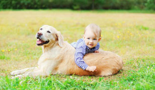 铭缘阁起名测名网